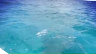 Desroches - Freespool, эпизод 23: главные поклёвки и кадры