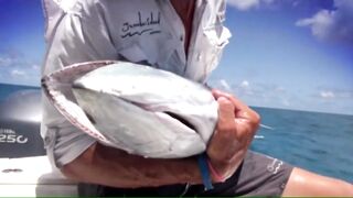 Desroches - Freespool, эпизод 23: главные поклёвки и кадры