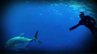 Desroches - Freespool, эпизод 23: главные поклёвки и кадры