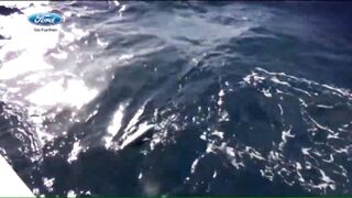 Desroches - Freespool, эпизод 23: главные поклёвки и кадры