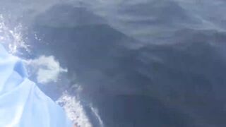 Desroches Island - морская рыбалка на краю рифа, смена приманок