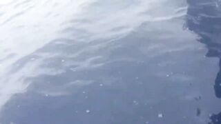 Desroches Island - морская рыбалка на краю рифа, смена приманок