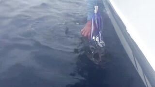 Desroches Island - морская рыбалка на краю рифа, смена приманок