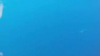 Desroches Island - морская рыбалка на краю рифа, смена приманок