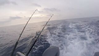 Desroches Island - морская рыбалка на краю рифа, смена приманок