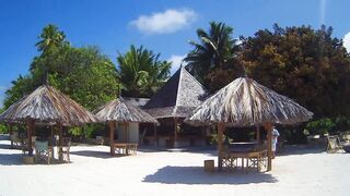 Desroches 2012 - fly-рыбалка: bonefish и барракуда на плоских