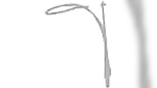 Desroches Island - под водой: кораллы, рыбы и тени хищника