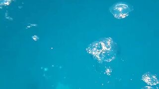 Desroches Island - под водой: кораллы, рыбы и тени хищника