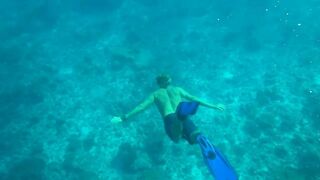 Desroches Island - под водой: кораллы, рыбы и тени хищника