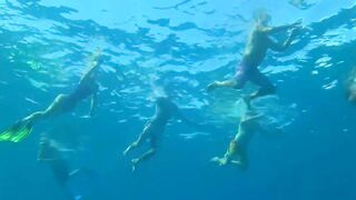 Desroches Island - под водой: кораллы, рыбы и тени хищника