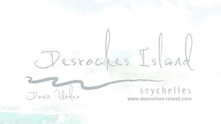 Desroches Island - под водой: кораллы, рыбы и тени хищника