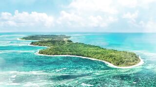 Desroches Island - под водой: кораллы, рыбы и тени хищника