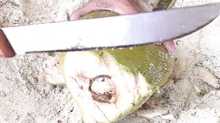 Desroches Island — рай для моряков: есть ли здесь морская рыбалка?