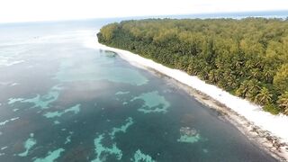 Desroches Island — рай для моряков: есть ли здесь морская рыбалка?