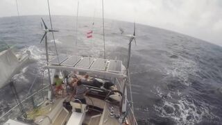 Desroches Island — рай для моряков: есть ли здесь морская рыбалка?