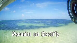 Desroches 2013 - первый permit сезона: морская рыбалка на плоских