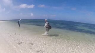 Desroches 2013 - первый permit сезона: морская рыбалка на плоских