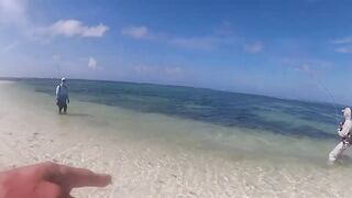 Desroches 2013 - первый permit сезона: морская рыбалка на плоских