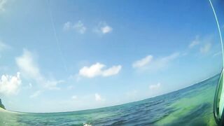 Desroches 2013 - первый permit сезона: морская рыбалка на плоских