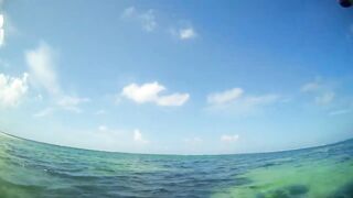 Desroches 2013 - первый permit сезона: морская рыбалка на плоских