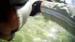 Desroches 2013 - первый permit сезона: морская рыбалка на плоских