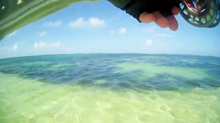 Desroches 2013 - первый permit сезона: морская рыбалка на плоских