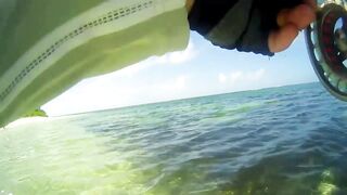 Desroches 2013 - первый permit сезона: морская рыбалка на плоских