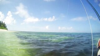 Desroches 2013 - первый permit сезона: морская рыбалка на плоских