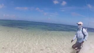 Desroches 2013 - первый permit сезона: морская рыбалка на плоских