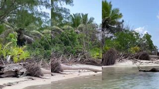 Alphonse, Сейшелы — птицы, прилив и морская рыбалка на плоских