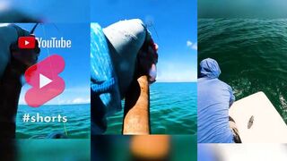 Alphonse Island — GT безумие: морская рыбалка в Сейшелах на пределе!