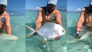 St-Francois Atoll — permit отпущен: стоит ли сменить муху на краба?