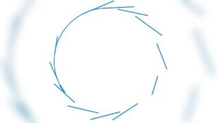 Seven Degrees South - fly-рыбалка на Alphonse: permit, bonefish, GT