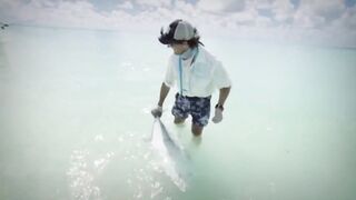 Seven Degrees South - fly-рыбалка на Alphonse: permit, bonefish, GT