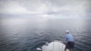 Seven Degrees South - fly-рыбалка на Alphonse: permit, bonefish, GT