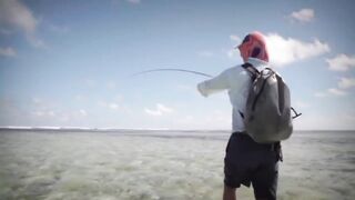 Seven Degrees South - fly-рыбалка на Alphonse: permit, bonefish, GT