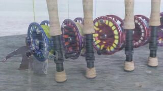 Alphonse Island - виды рыб атолла, кого встретите на плоских