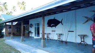 Alphonse Island - виды рыб атолла, кого встретите на плоских