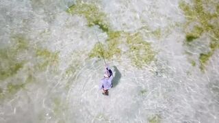 Alphonse Island - виды рыб атолла, кого встретите на плоских