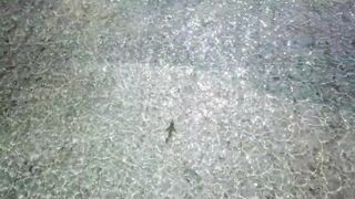 Alphonse Island - виды рыб атолла, кого встретите на плоских