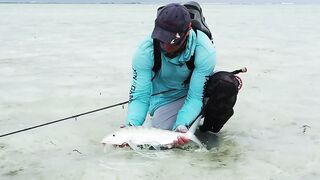 Alphonse Island - виды рыб атолла, кого встретите на плоских