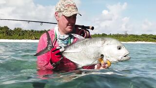 Alphonse Island - виды рыб атолла, кого встретите на плоских