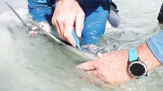 Alphonse Island - виды рыб атолла, кого встретите на плоских