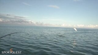 Alphonse Island - мифический milkfish на fly, приливы и плоские