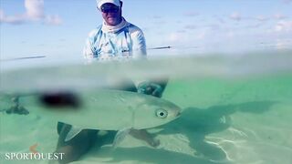 Alphonse Island - мифический milkfish на fly, приливы и плоские