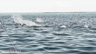 Alphonse Island - мифический milkfish на fly, приливы и плоские