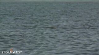 Alphonse Island - мифический milkfish на fly, приливы и плоские