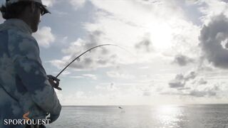 Alphonse Island - мифический milkfish на fly, приливы и плоские