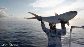 Alphonse Island - мифический milkfish на fly, приливы и плоские