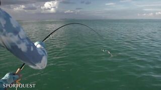 Alphonse Island - мифический milkfish на fly, приливы и плоские